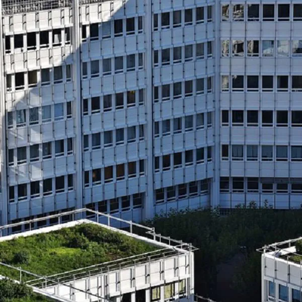 Tetti verdi, ecco la soluzione eco-sostenibile per la massima protezione del tuo immobile