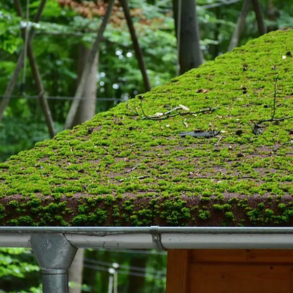 Grondaie green: ecco i materiali “sostenibili” per la tua casa!