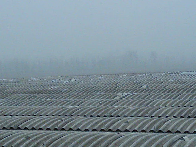 Smaltimento Eternit a Vicenza