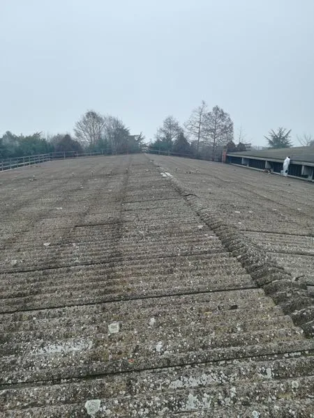 Edil Coperture bonifica eternit Padova