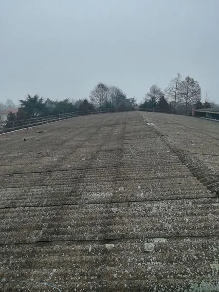 Copertura in eternit