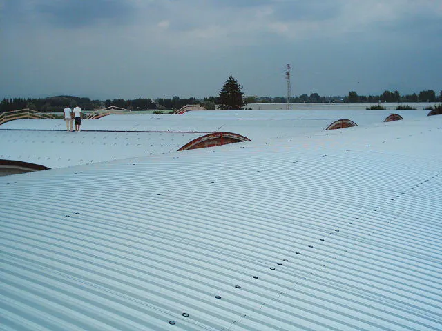 Edil Coperture bonifica dell'eternit