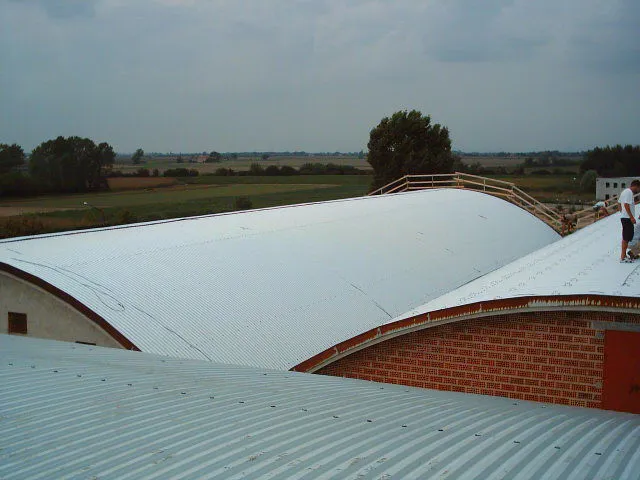 Copertura sostitutiva in materiali moderni
